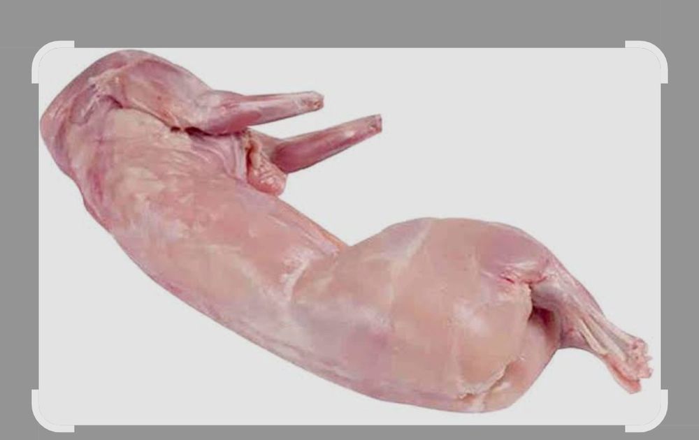 мясо кролика молодое домашнее (халал)