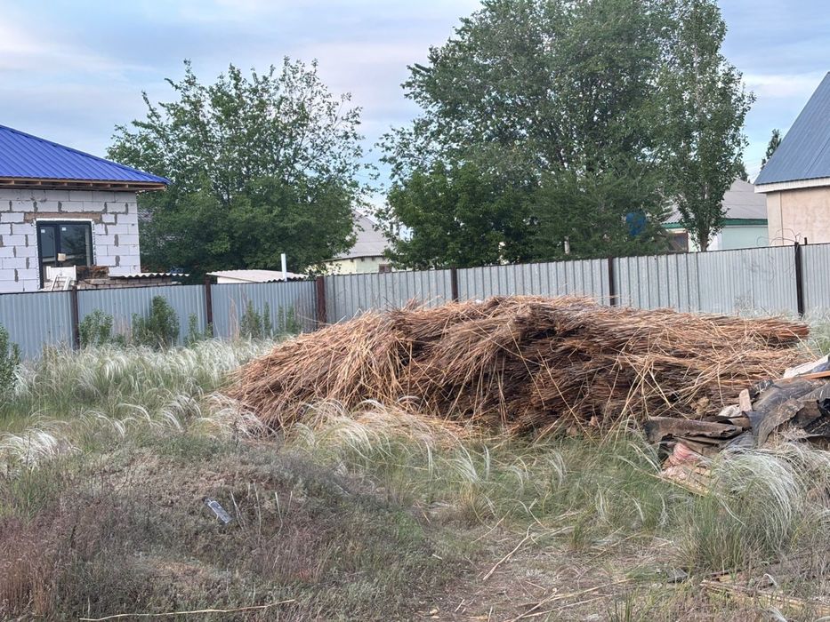 Профлист и қамыс