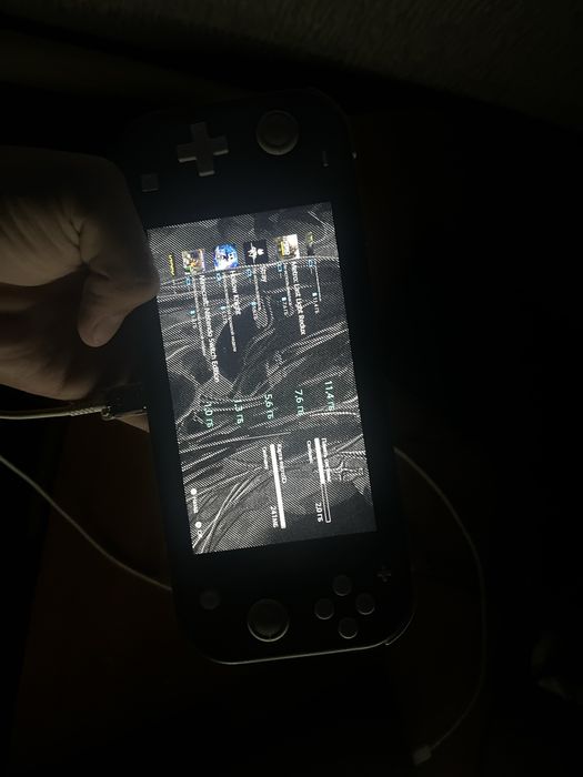 Nintendo switch lite прошитая