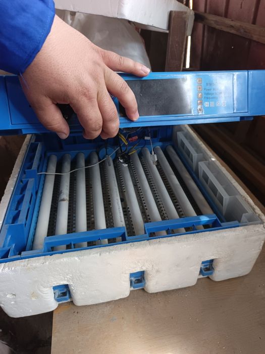 Продаёт инкубатор