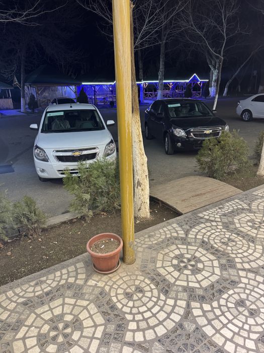 Kobalt msm stayl 2026