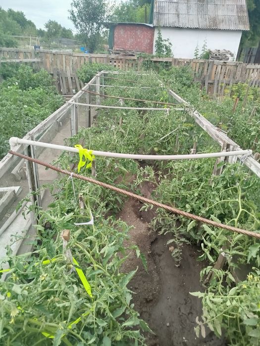 Продам дачу в д/о Оптимист