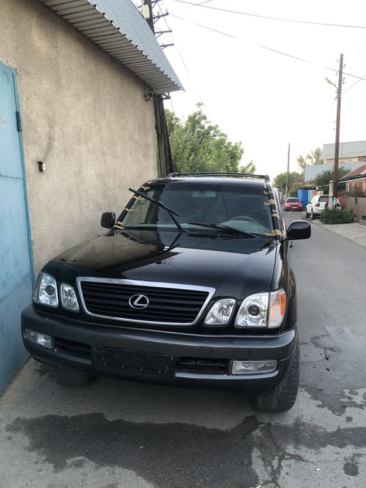 костоправ маляр покраска