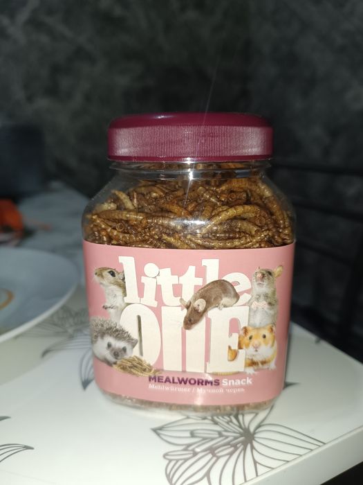 Сушёный мучной червь