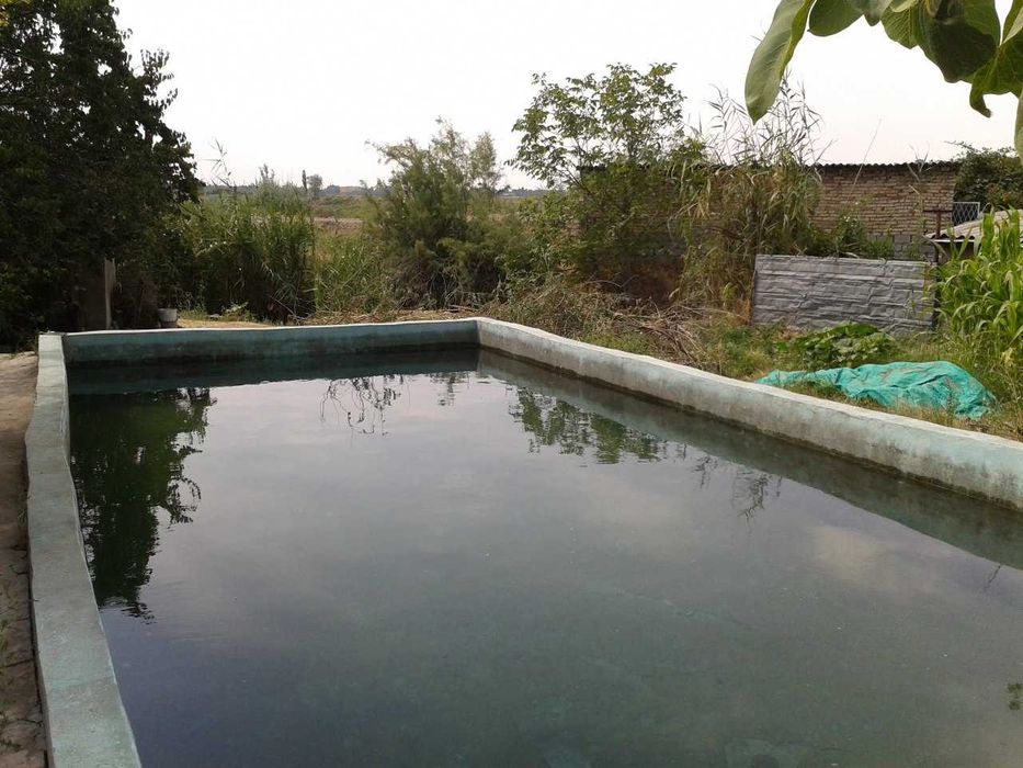 Дача не далеко от ТашМоря.