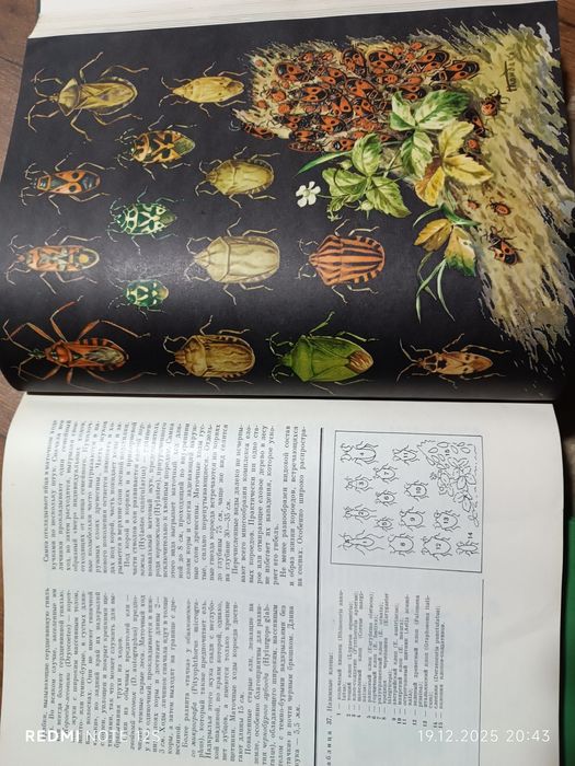 Книги Жизнь Животных 6томов