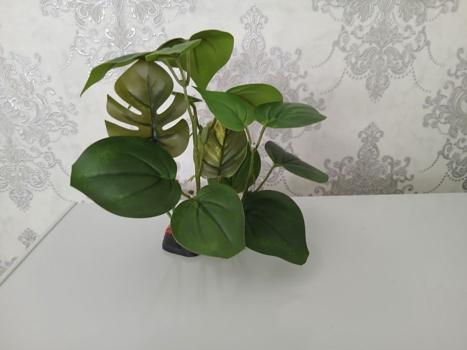 Сифон , сачок для аквариума