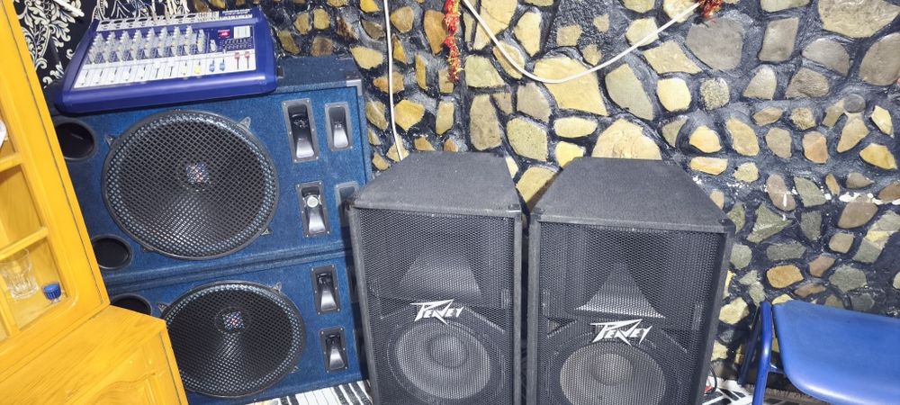 Vând sistem audio de nunta