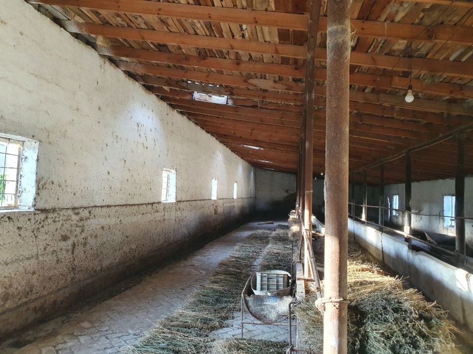 Molxona , ferma sotiladi