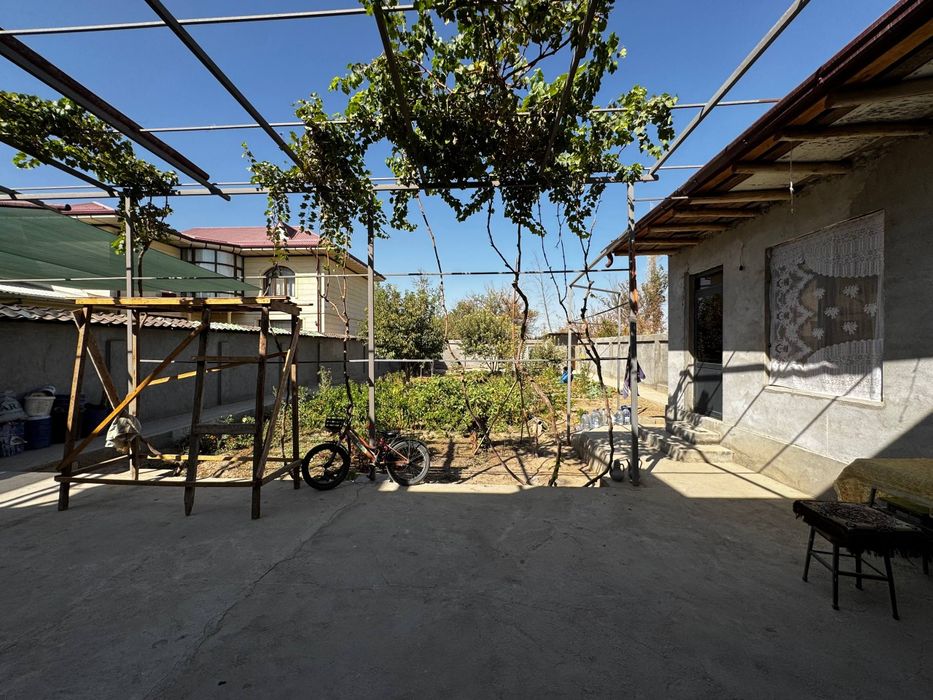 Akmal Baliqdan 5 minutli masofada sotigi 21,500 dan xovli