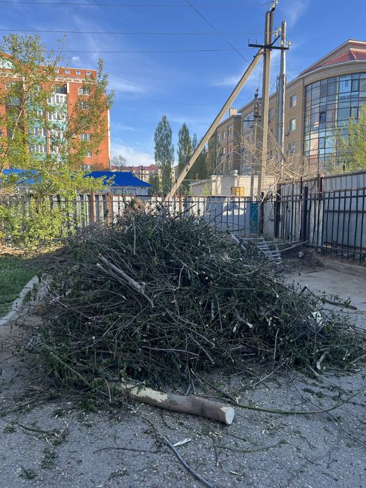 Бесплатно отдам на дрова самовывоз
