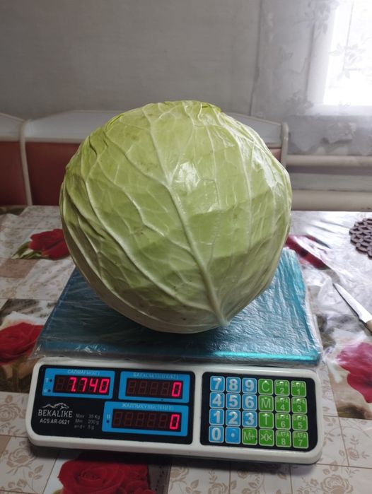 Продам капусту..