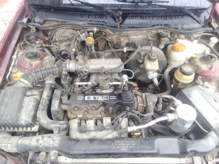 Нехиа 2 гибрит нахтга сотилади.