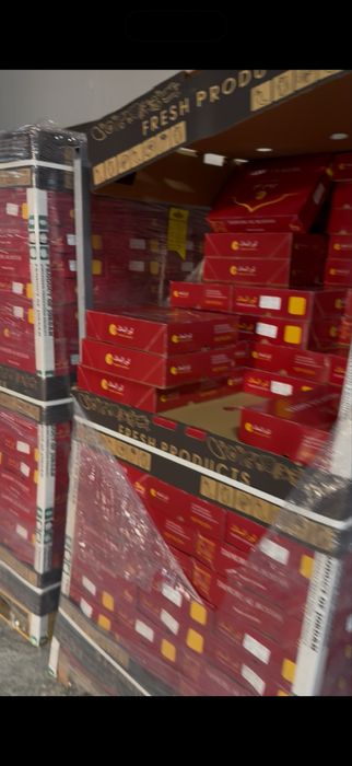 Финиковый сад, компания, финики, курма