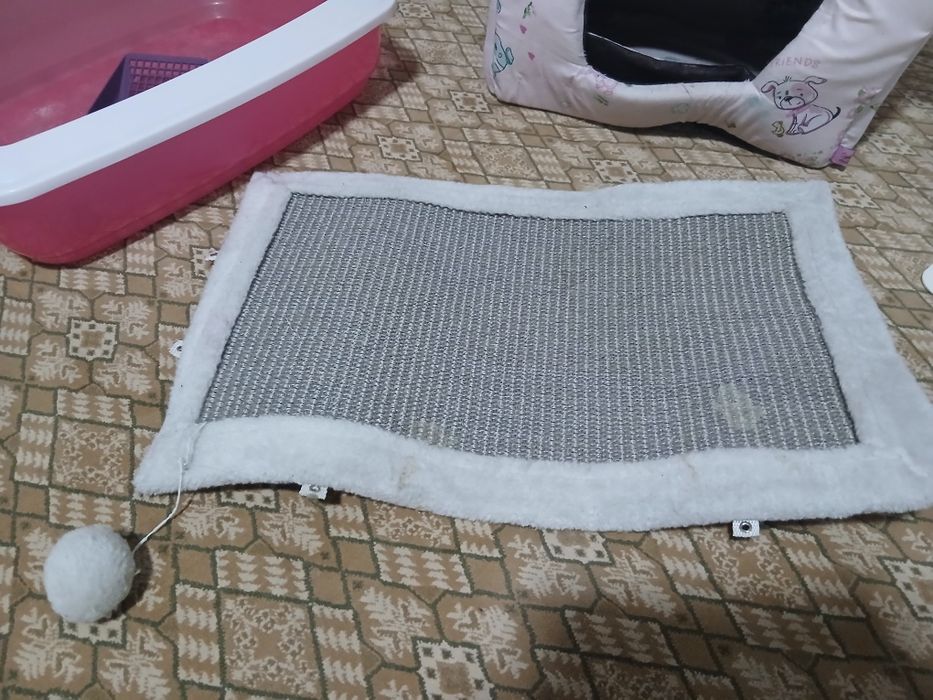 Приборы для кошек б/у