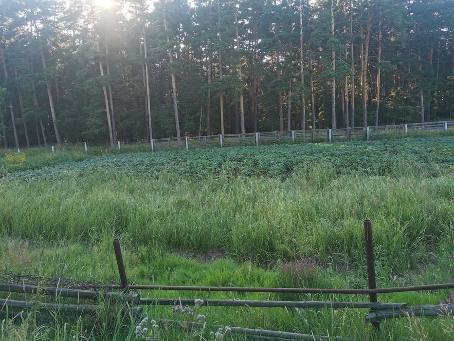 Продам участок земли