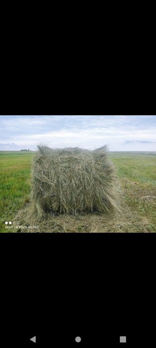 Продам сено с доставкой