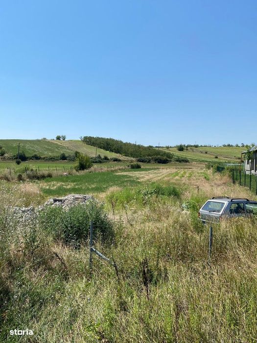 Teren intravilan, Comuna Predești (Dolj) – Stradă principală