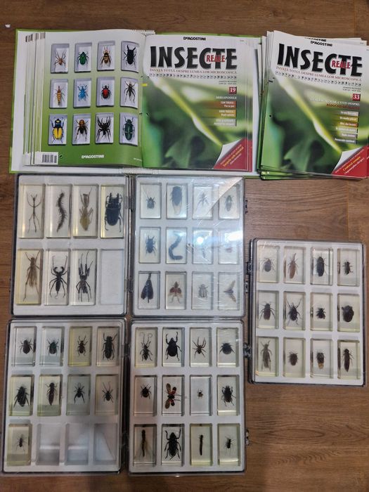 Insecte în rasina DeAgostini