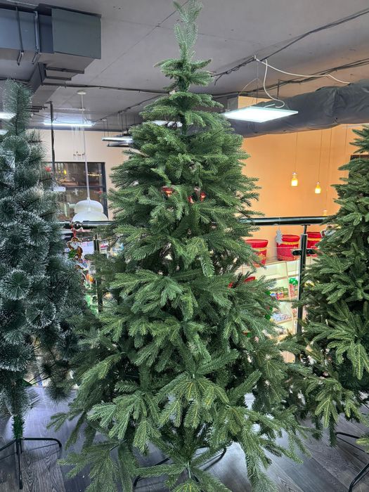 Ёлки Астана  доставка бесплатно