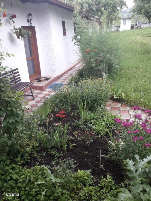 Casa P+1E + 3 ha Teren, Vatra Dornei, 125000 Euro