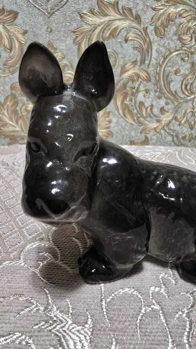 Скотч-терьер ЛФЗ