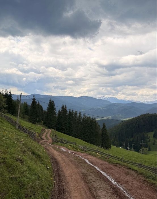 Teren Suceava - Carlibaba- Catun Pleta