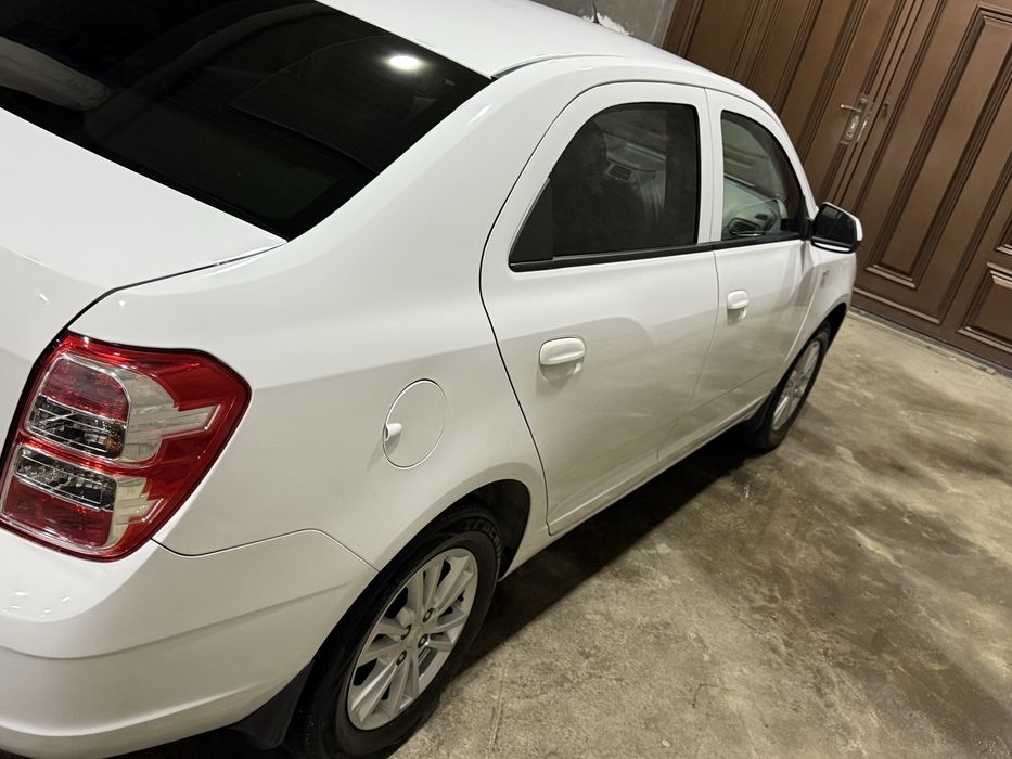 Arenda kobalt nasiya savdo.