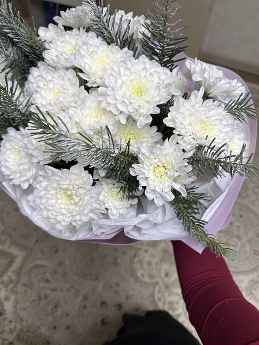 Хризантемы свежие