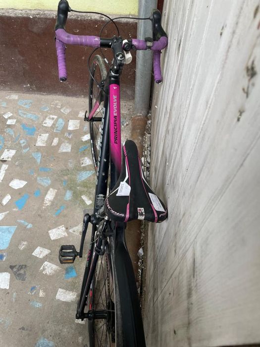 Cursiera Principia Evolve Factura+Garantie -A-