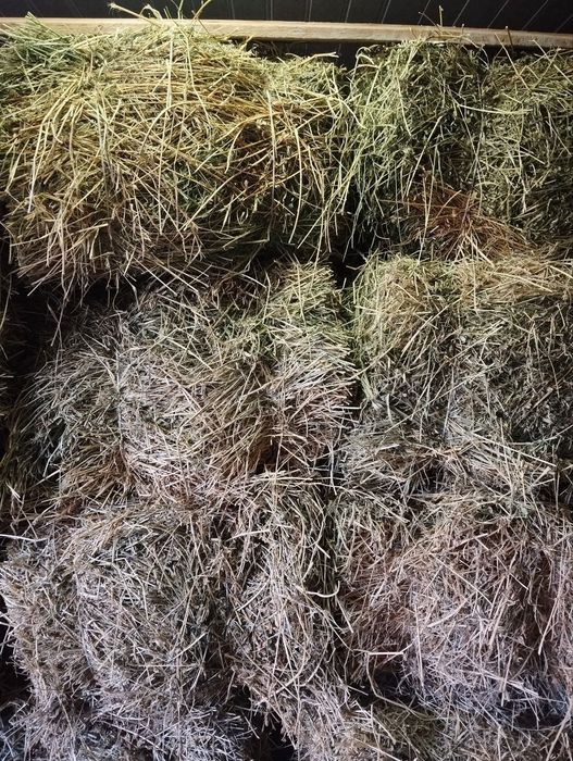 Beda pres 1metr 90 sm