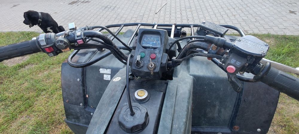 Yamaha grizzly 1999