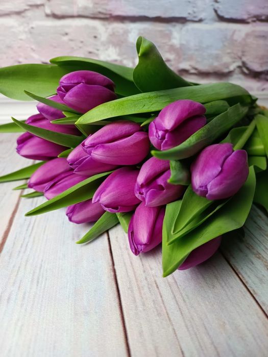 Оптом тюльпаны Беларусь