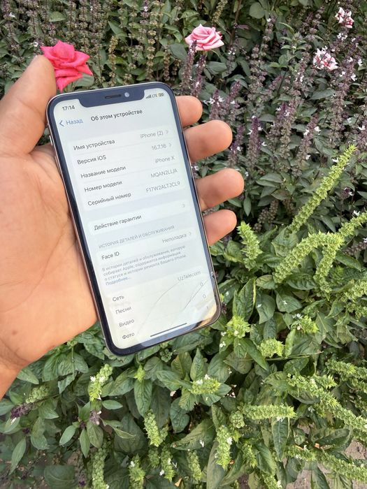 Iphone x 256GB dastavka bor