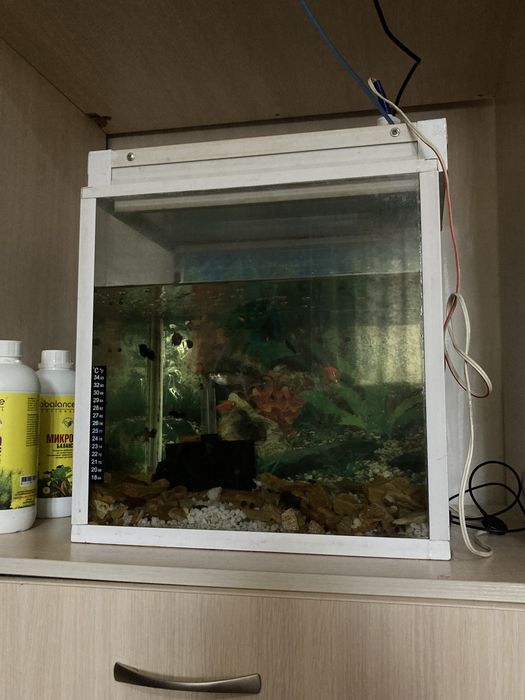 продам аквариум и все к нему