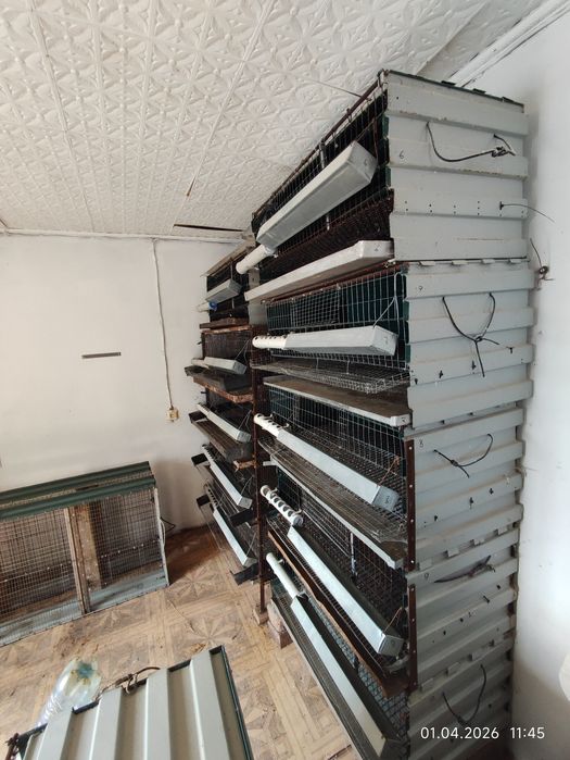 Клетка для перепелов