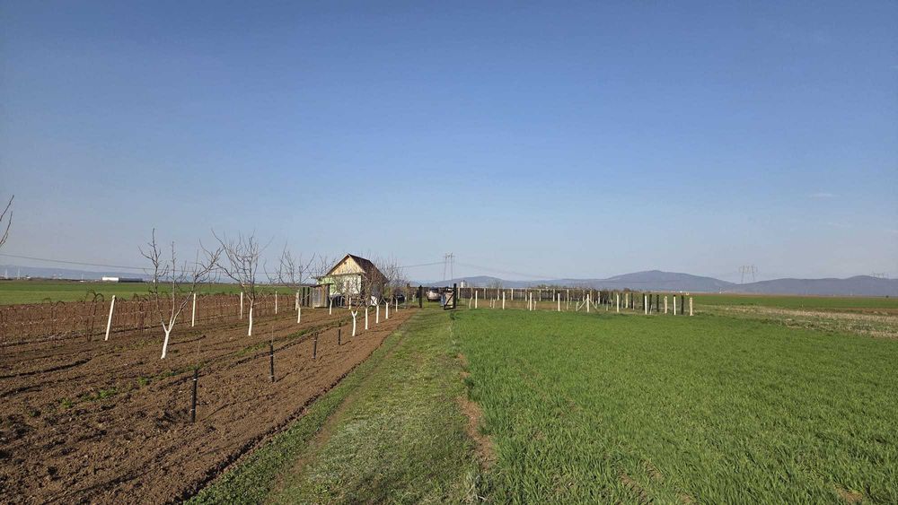 Teren livada Harman, Brasov (suprafata totala sau parcelat)