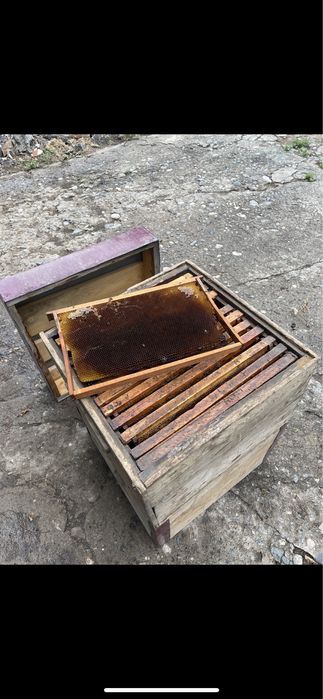 Ульи для пчел