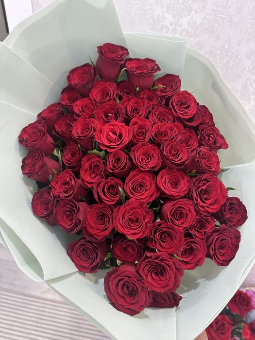 Продам цветы купили сегодня
