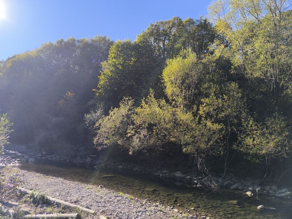 Продава се Парцел в с. Черни Осъм, Област Ловеч - 3150 кв.м за 3 €/кв.м - Снимка #6