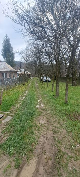 Vând casa + teren 2700m²