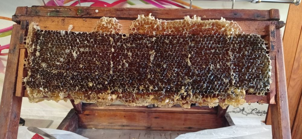 Продам мед свежий