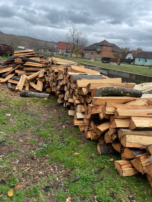 ‼️Lemne de foc esențe tarii[Fag,gorun,carpen,cer] la cele mai bun preț