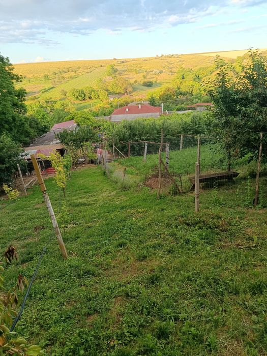 Casa de vânzare în sat Esechioi