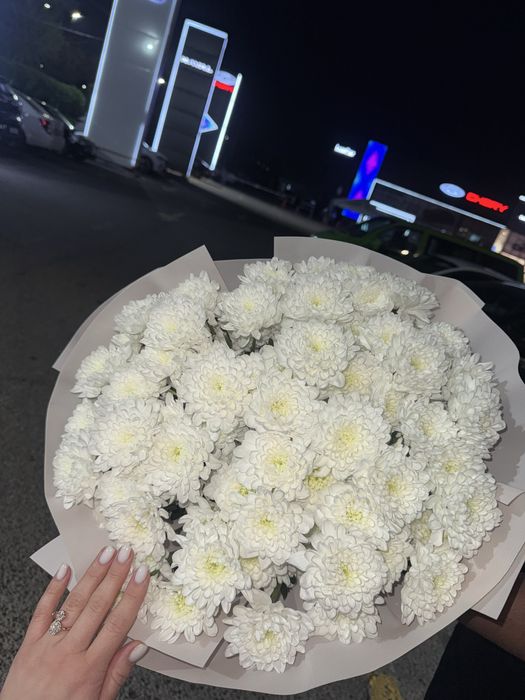 Свежие цветы,, ромашки