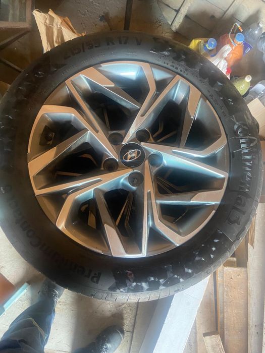 17 донгелек новый