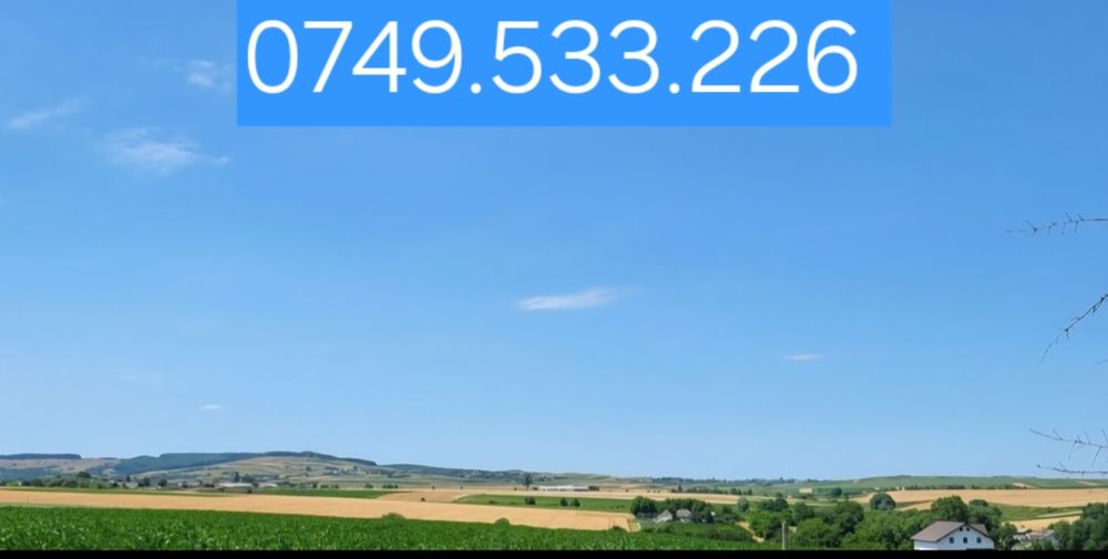 Vand TEREN  6 HECTARE intravilan Zvorastea Suceava