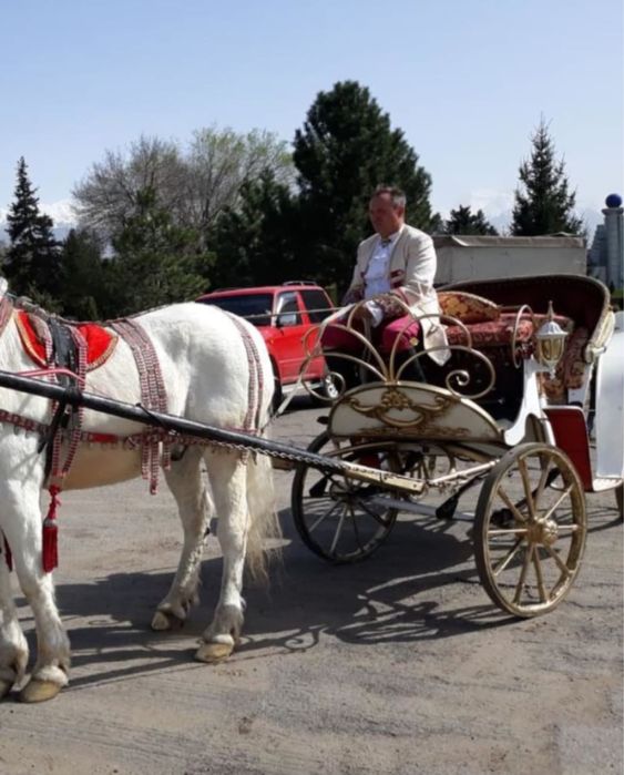 Карета на прокат