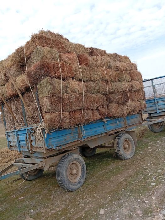Пресс жантак шөп сатылады