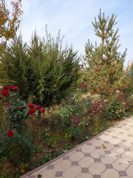 Продаю Дом в Бургулюке